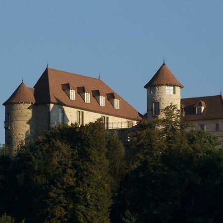 La Tour De Quinsonnas Bed & Breakfast Serezin-de-la-Tour Luaran gambar