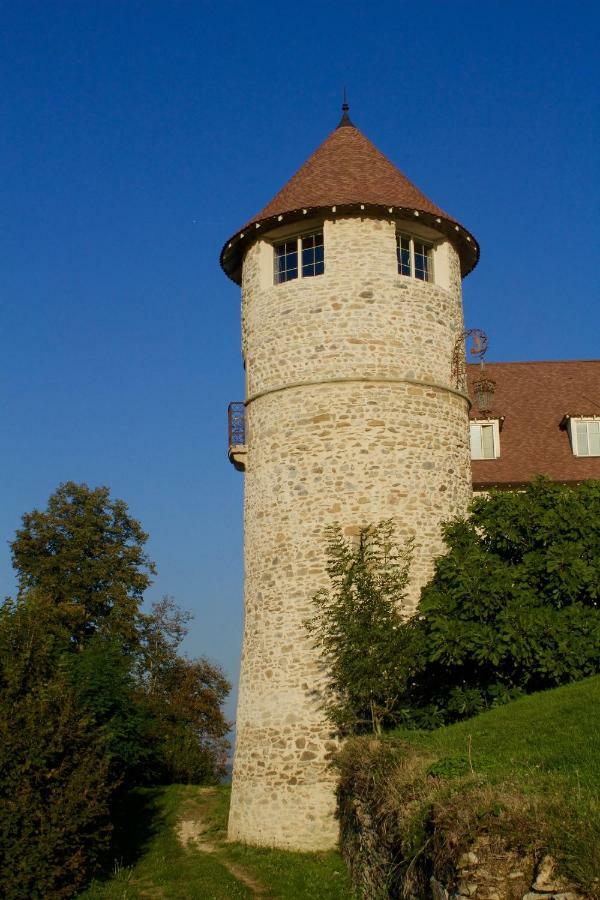 La Tour De Quinsonnas Bed & Breakfast Serezin-de-la-Tour Luaran gambar